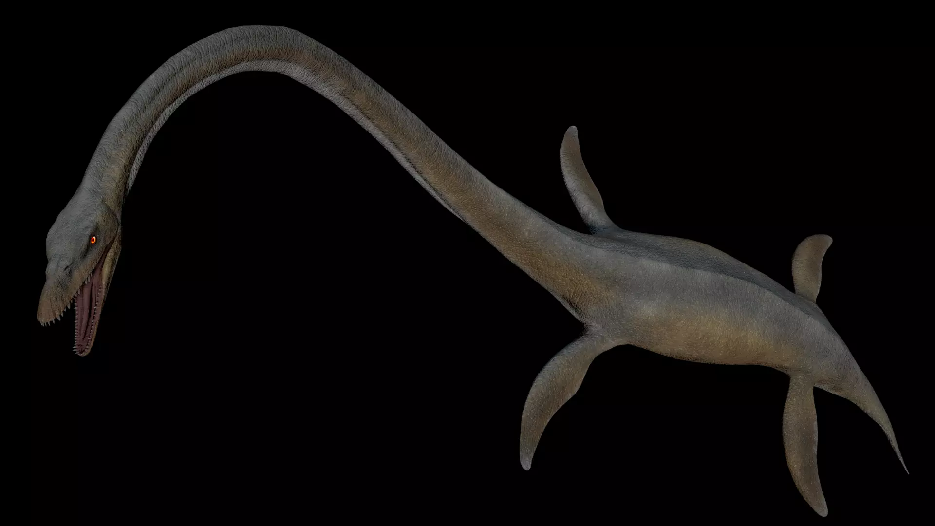 Elasmosaurus dinosaur Low-poly 3D model_0
