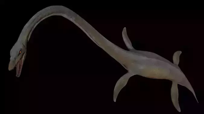 Elasmosaurus dinosaur Low-poly 3D model