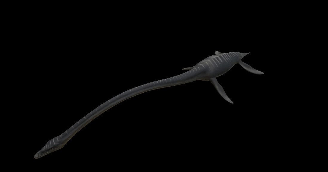 Elasmosaurus dinosaur Low-poly 3D model_13