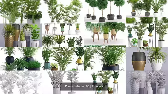 Plants collection 05 