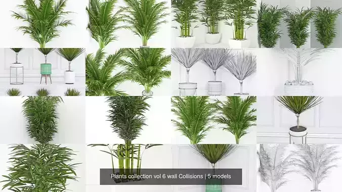 Plants collection vol 6 wall Collisions 