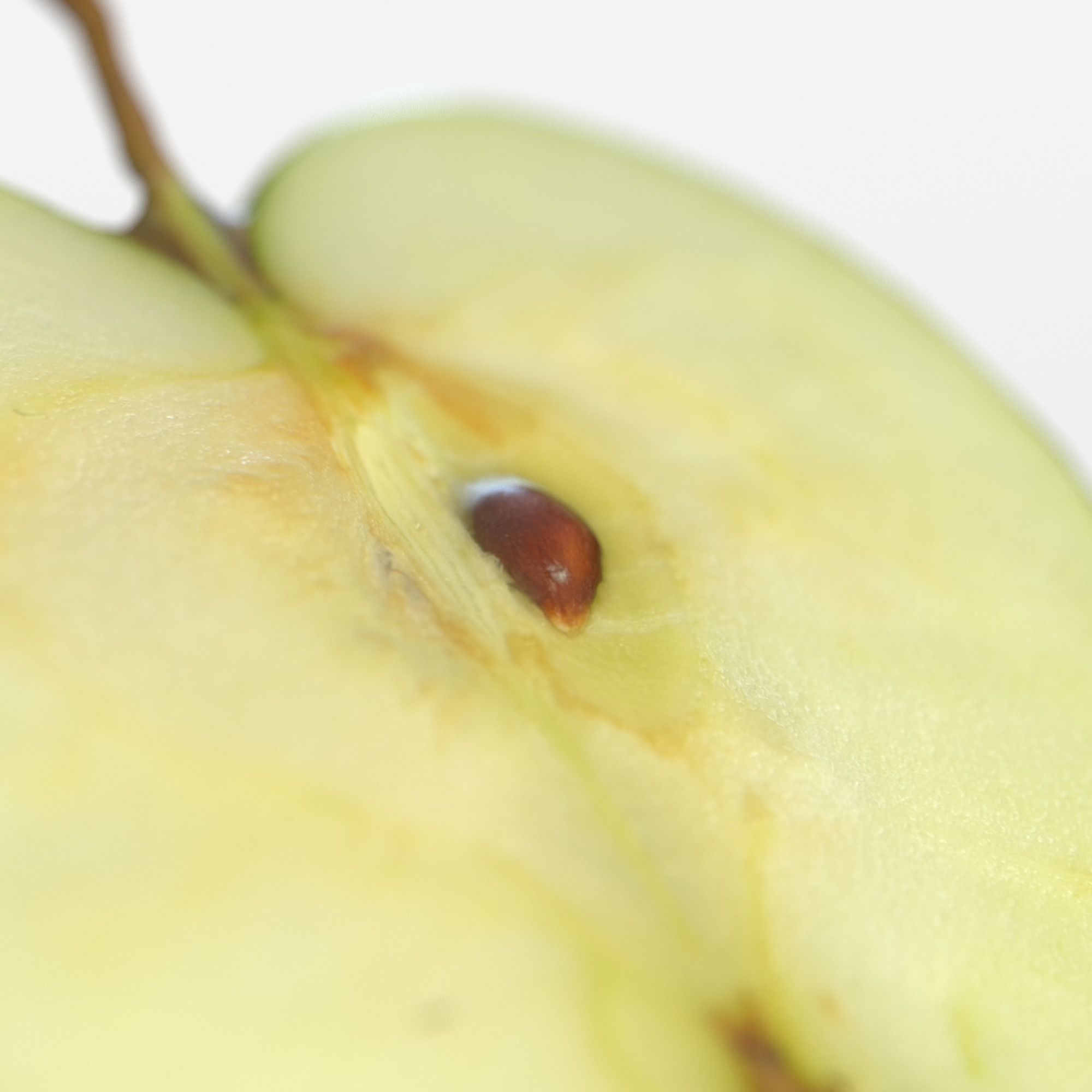 Green Apple Fruit 3D model Photoscan Low-poly 3D model_9
