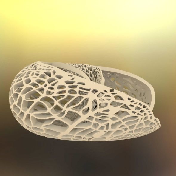 Leafy torus Lampshed 3D print model_44
