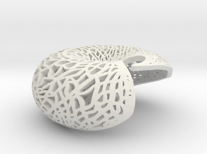 Leafy torus Lampshed 3D print model_13