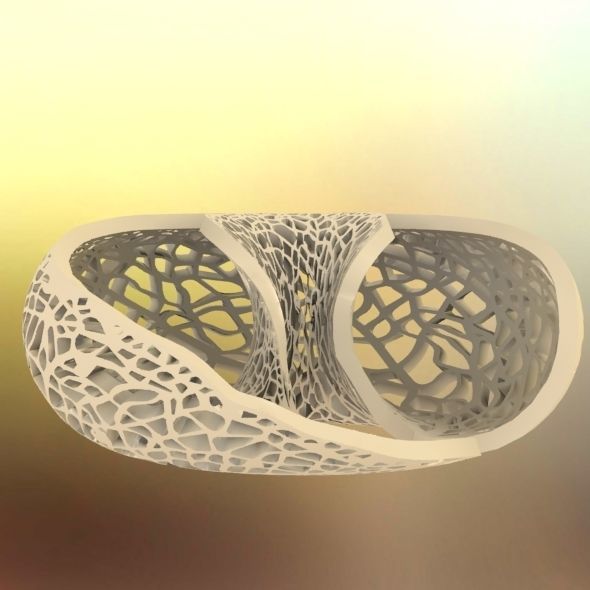 Leafy torus Lampshed 3D print model_53