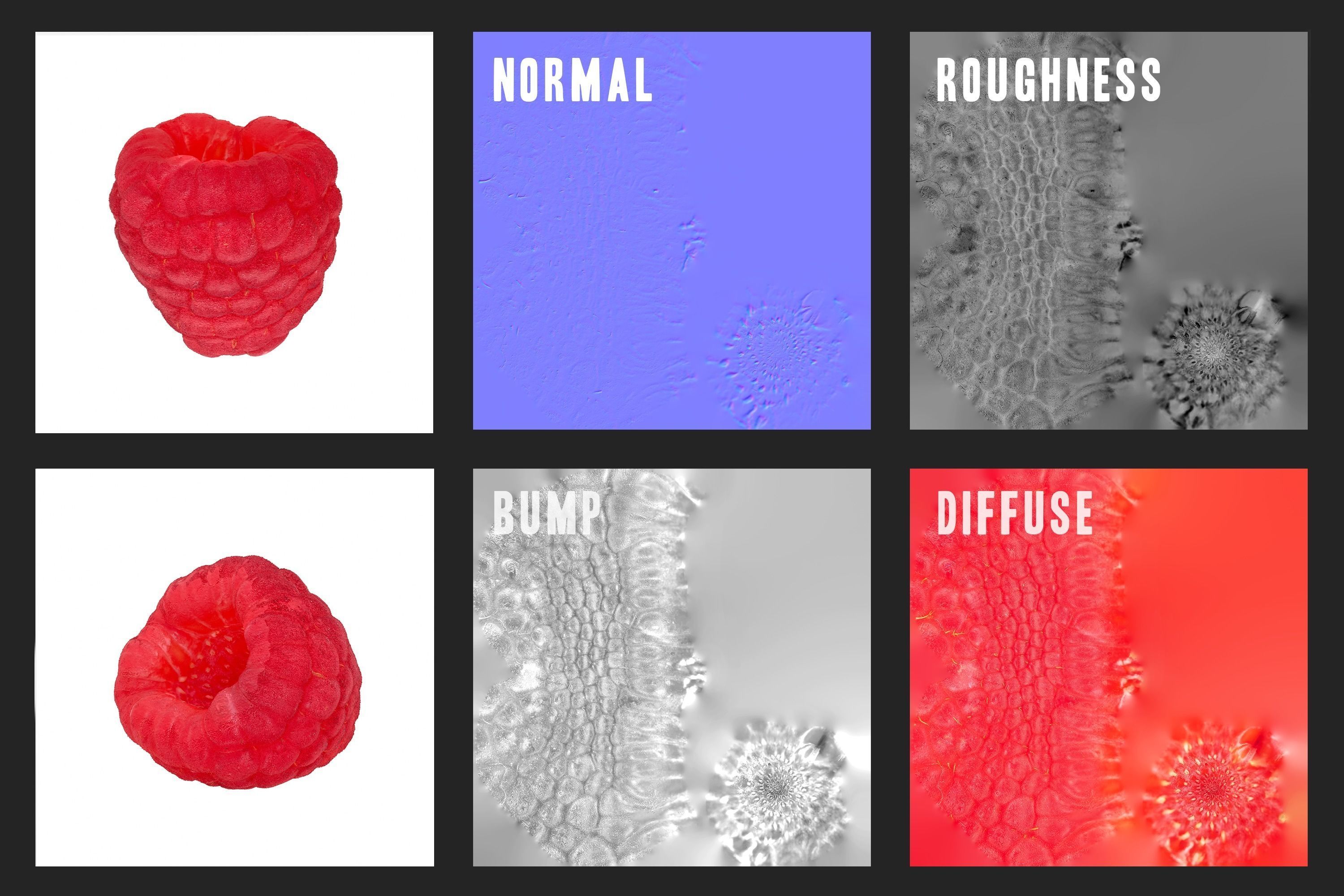 Raspberry Fruit 3D model Photoscan 3D model_7