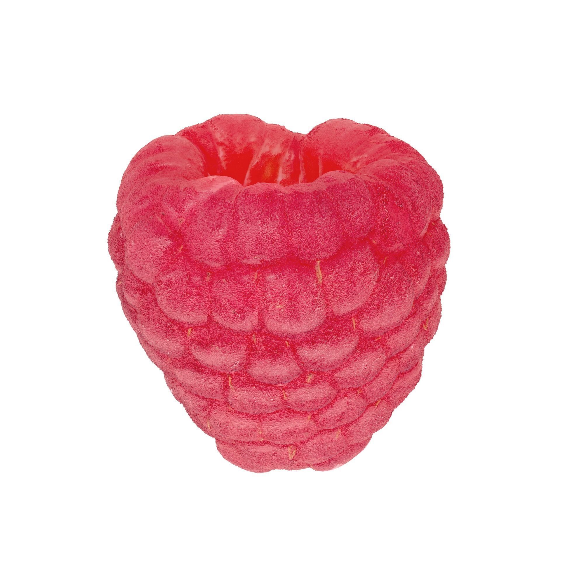 Raspberry Fruit 3D model Photoscan 3D model_3
