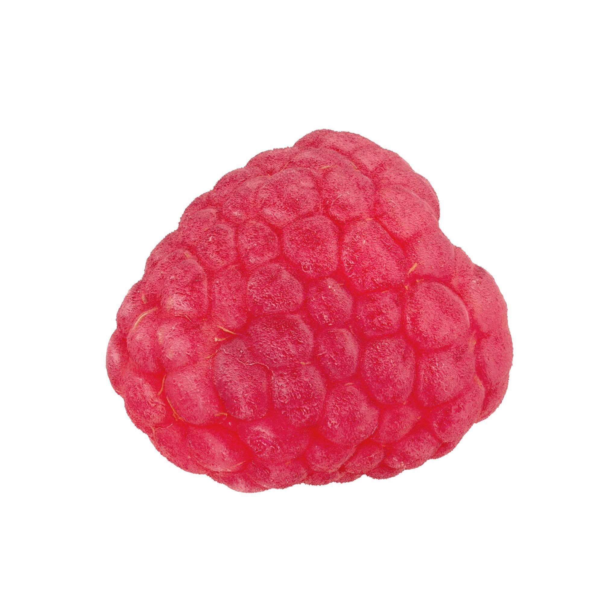 Raspberry Fruit 3D model Photoscan 3D model_2
