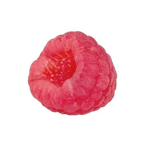 Raspberry Fruit 3D model Photoscan 3D model 2