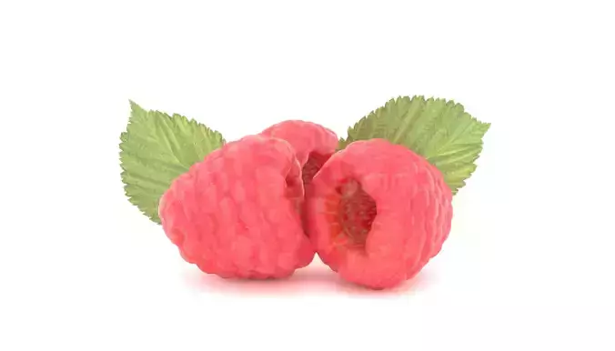 Raspberry Fruit 3D model Photoscan 3D model