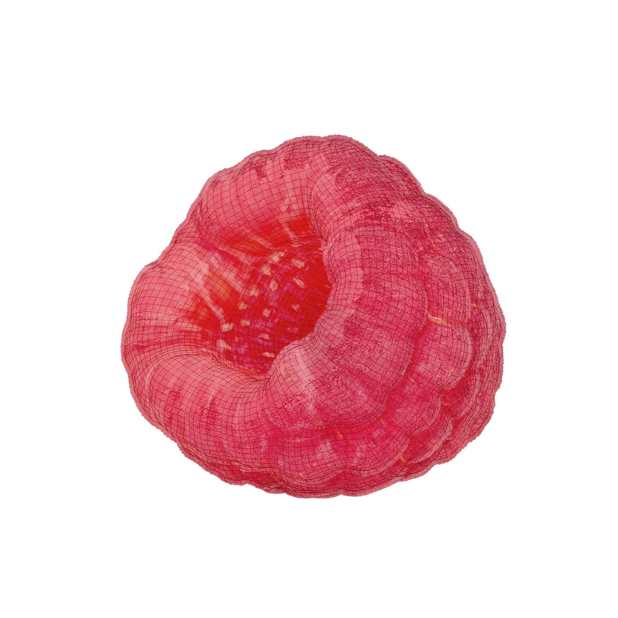 Raspberry Fruit 3D model Photoscan 3D model_4
