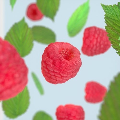 Raspberry Fruit 3D model Photoscan 3D model 7
