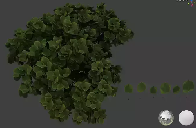 Linden leaf 3D models