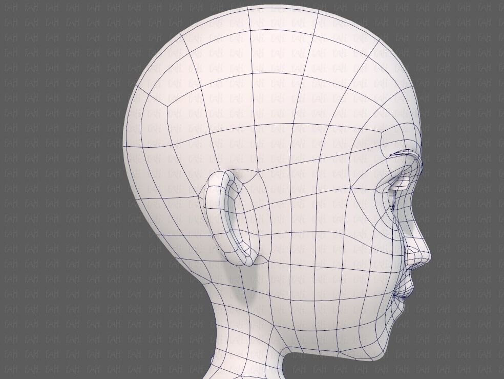 Base mesh girl characterV14 Low-poly 3D model_40