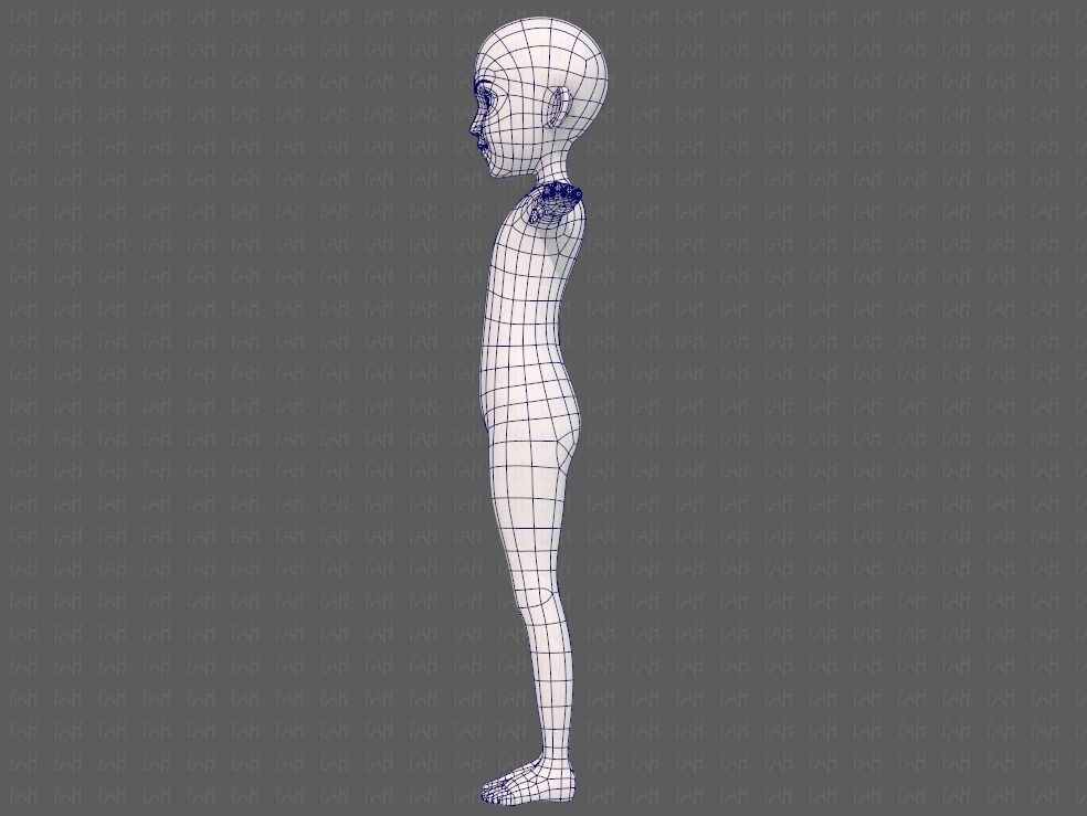 Base mesh girl characterV14 Low-poly 3D model_15