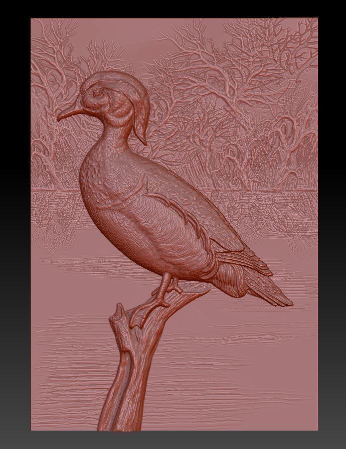 Wood Duck - relief - 2019 3D print model_4
