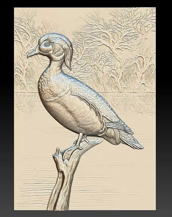 Wood Duck - relief - 2019 3D print model_0