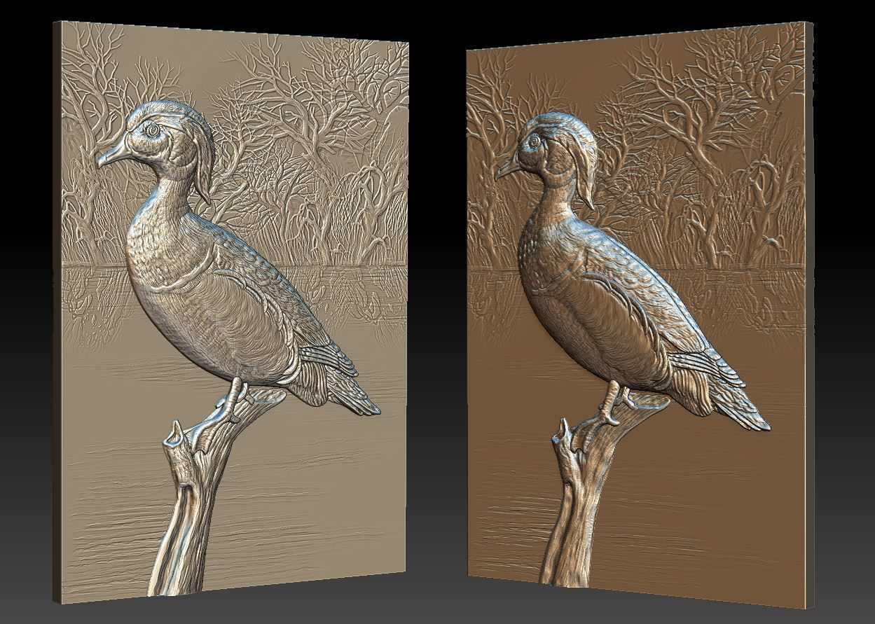Wood Duck - relief - 2019 3D print model_1