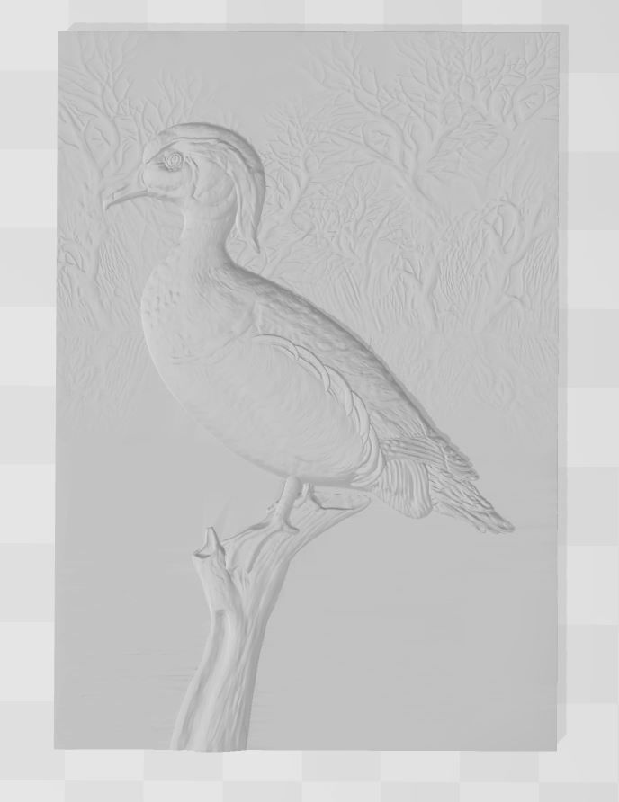 Wood Duck - relief - 2019 3D print model_2