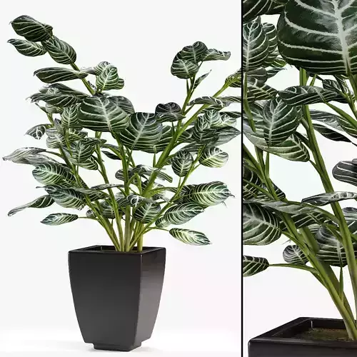 Realistic Plant Garden