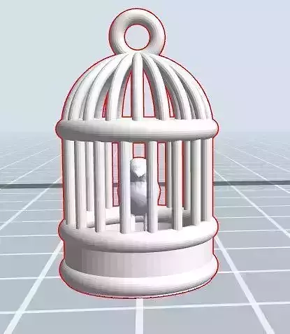BIRD Cage