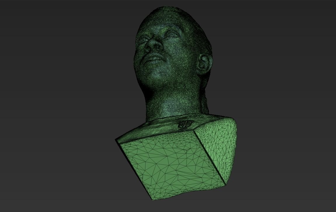 Ronaldinho bust 3D printing ready stl obj formats 3D print model_26