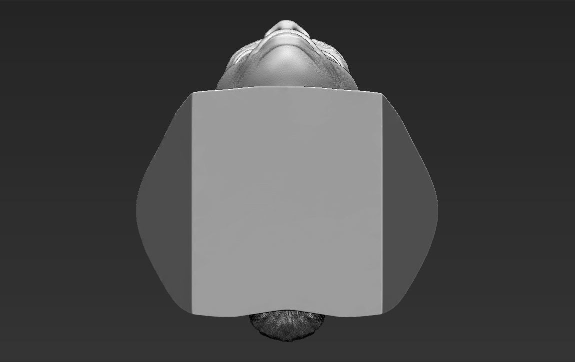 Ronaldinho bust 3D printing ready stl obj formats 3D print model_22