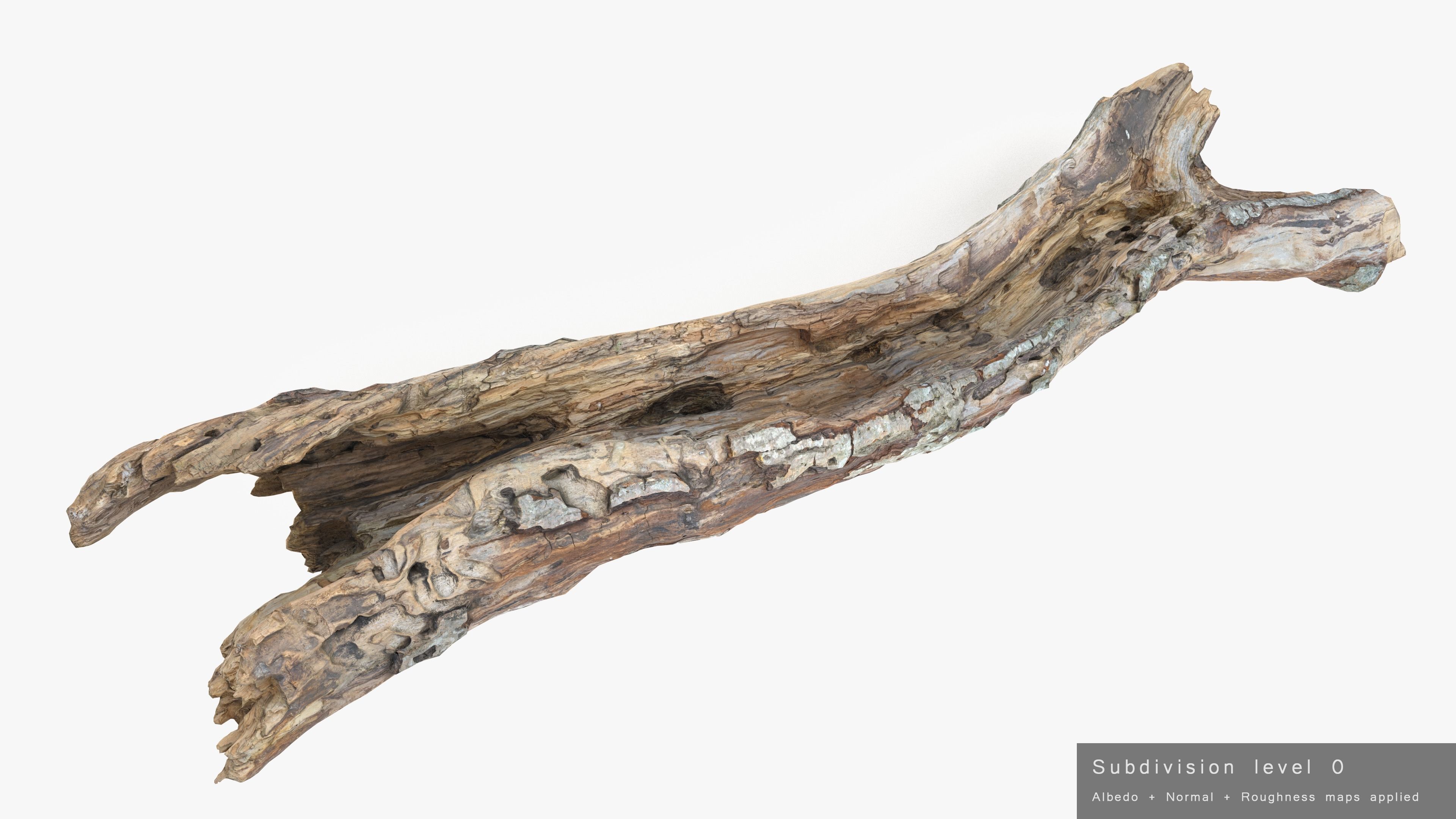 Withered Tree Hide Low-poly 3D model_38