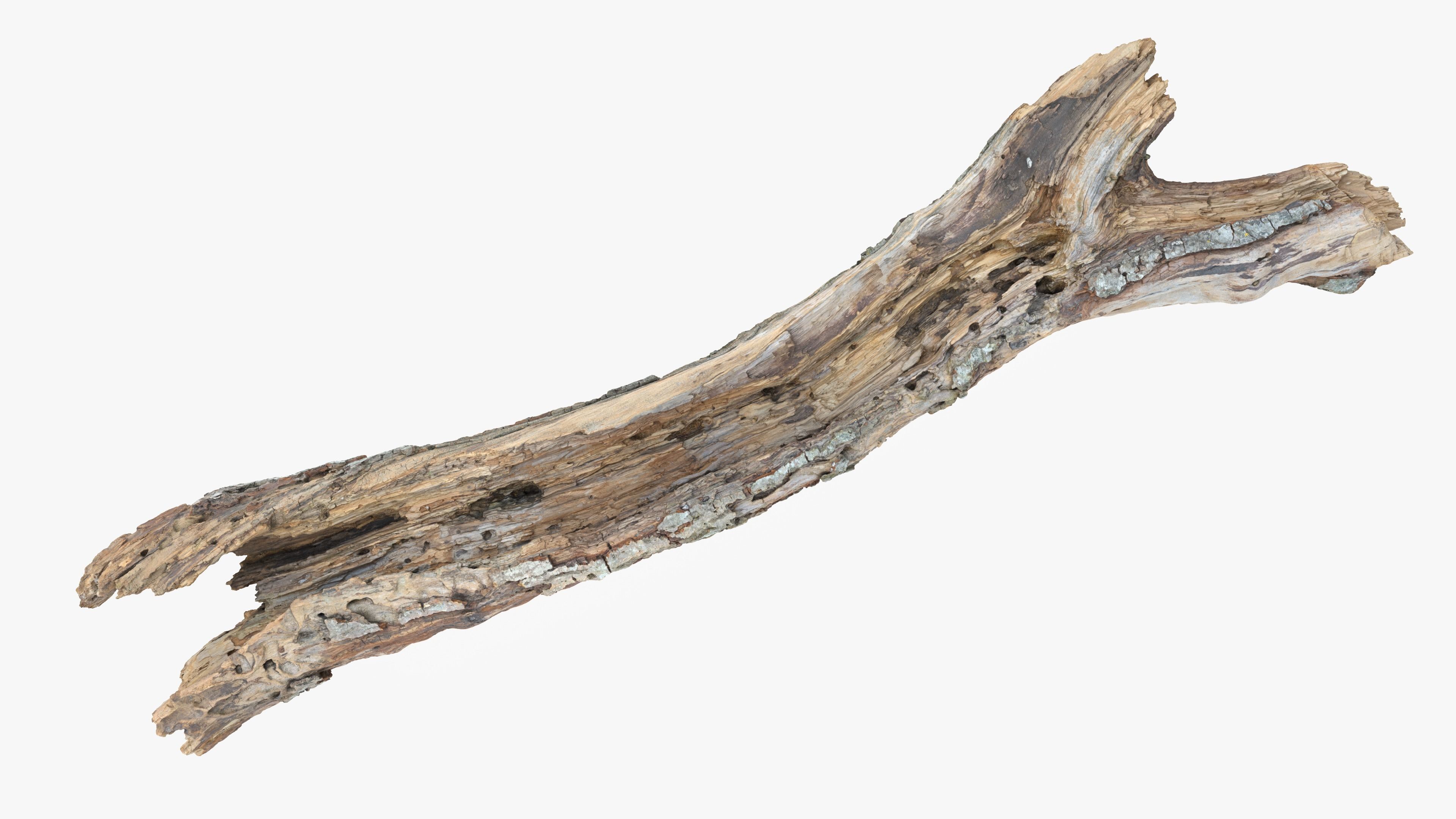 Withered Tree Hide Low-poly 3D model_4