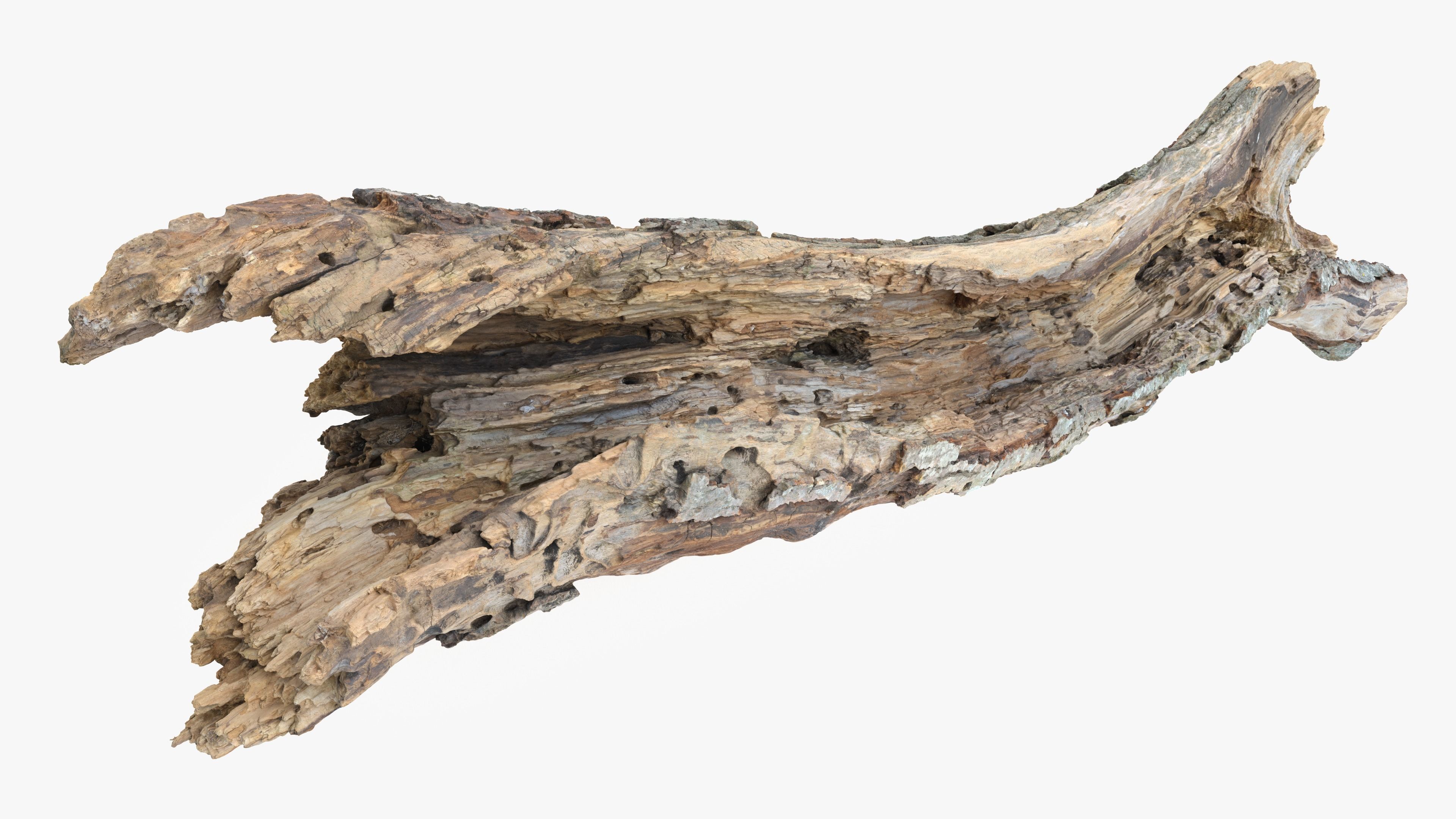 Withered Tree Hide Low-poly 3D model_1