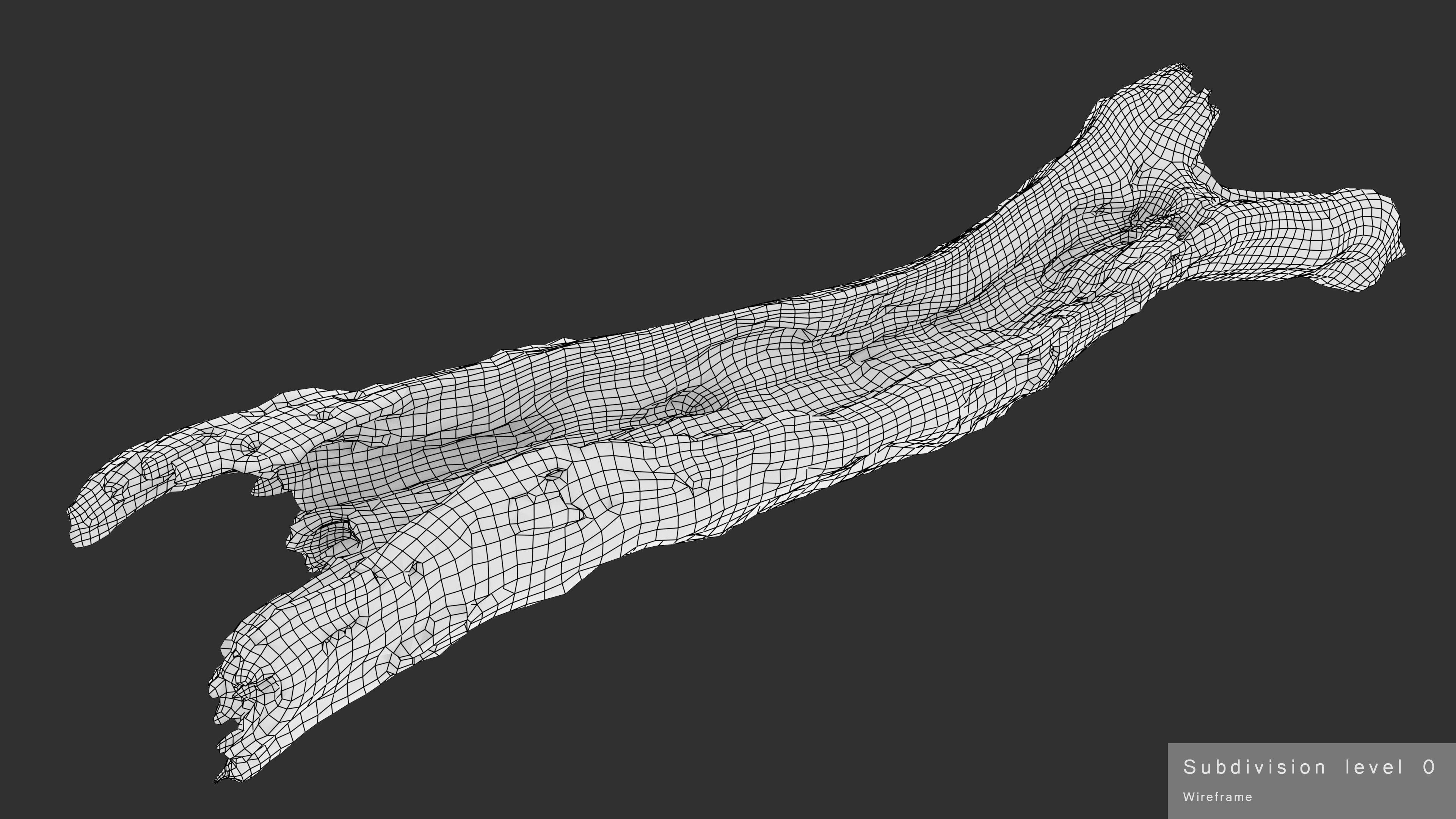 Withered Tree Hide Low-poly 3D model_44