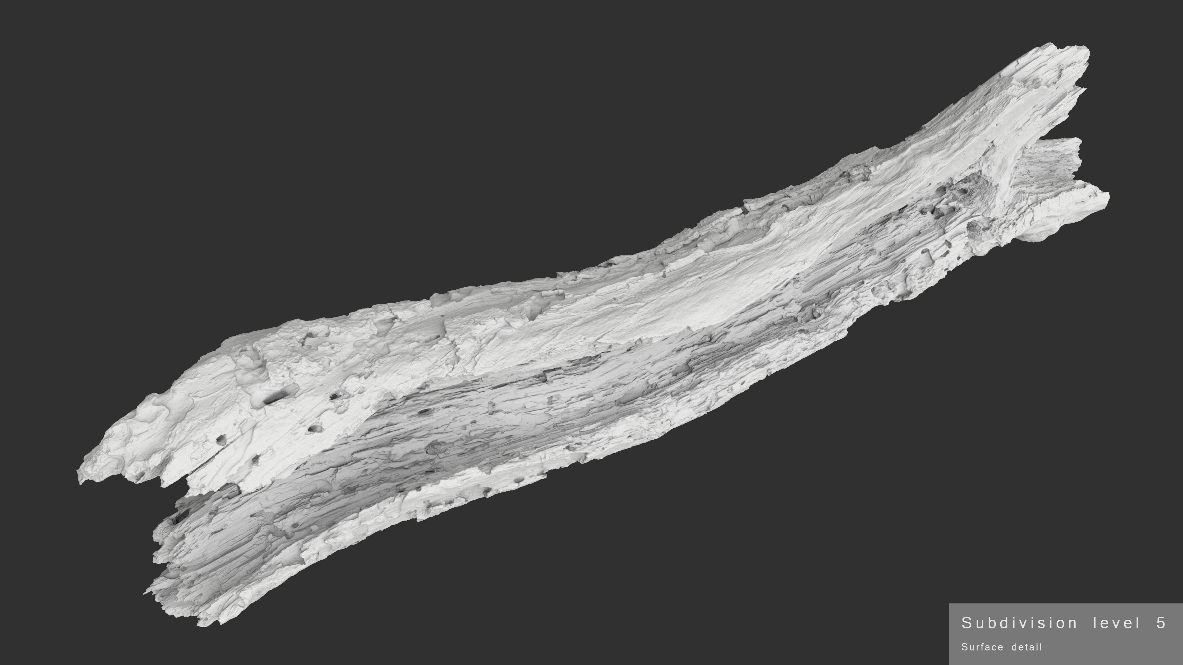 Withered Tree Hide Low-poly 3D model_32