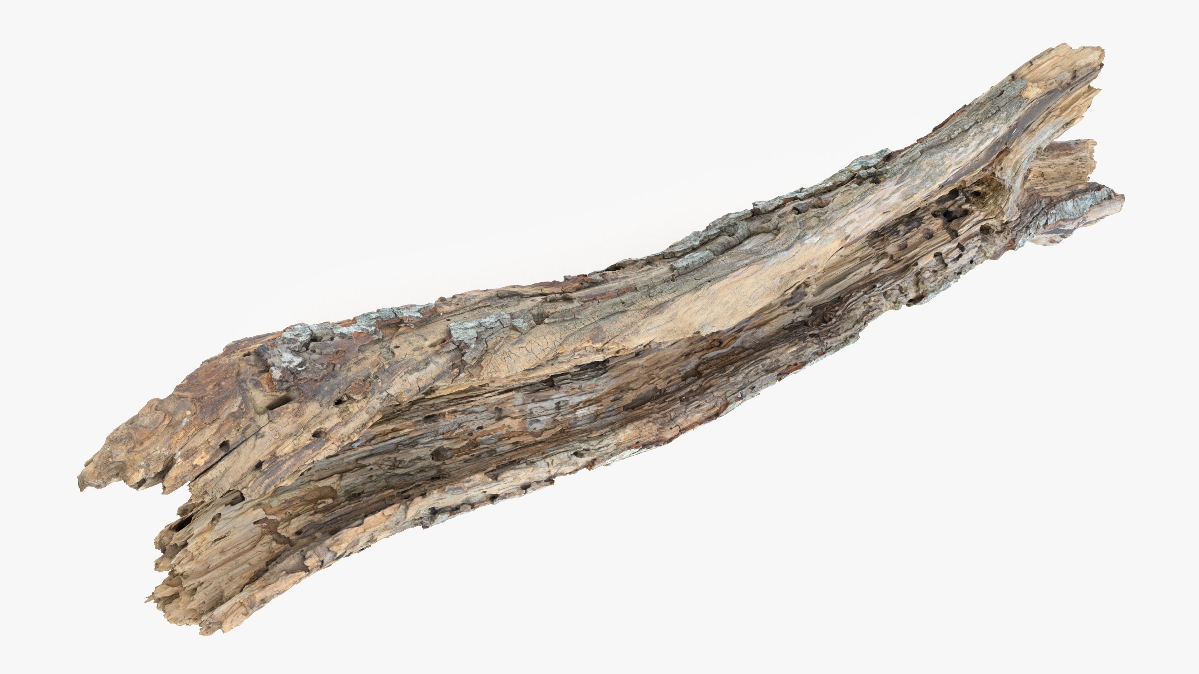 Withered Tree Hide Low-poly 3D model_26