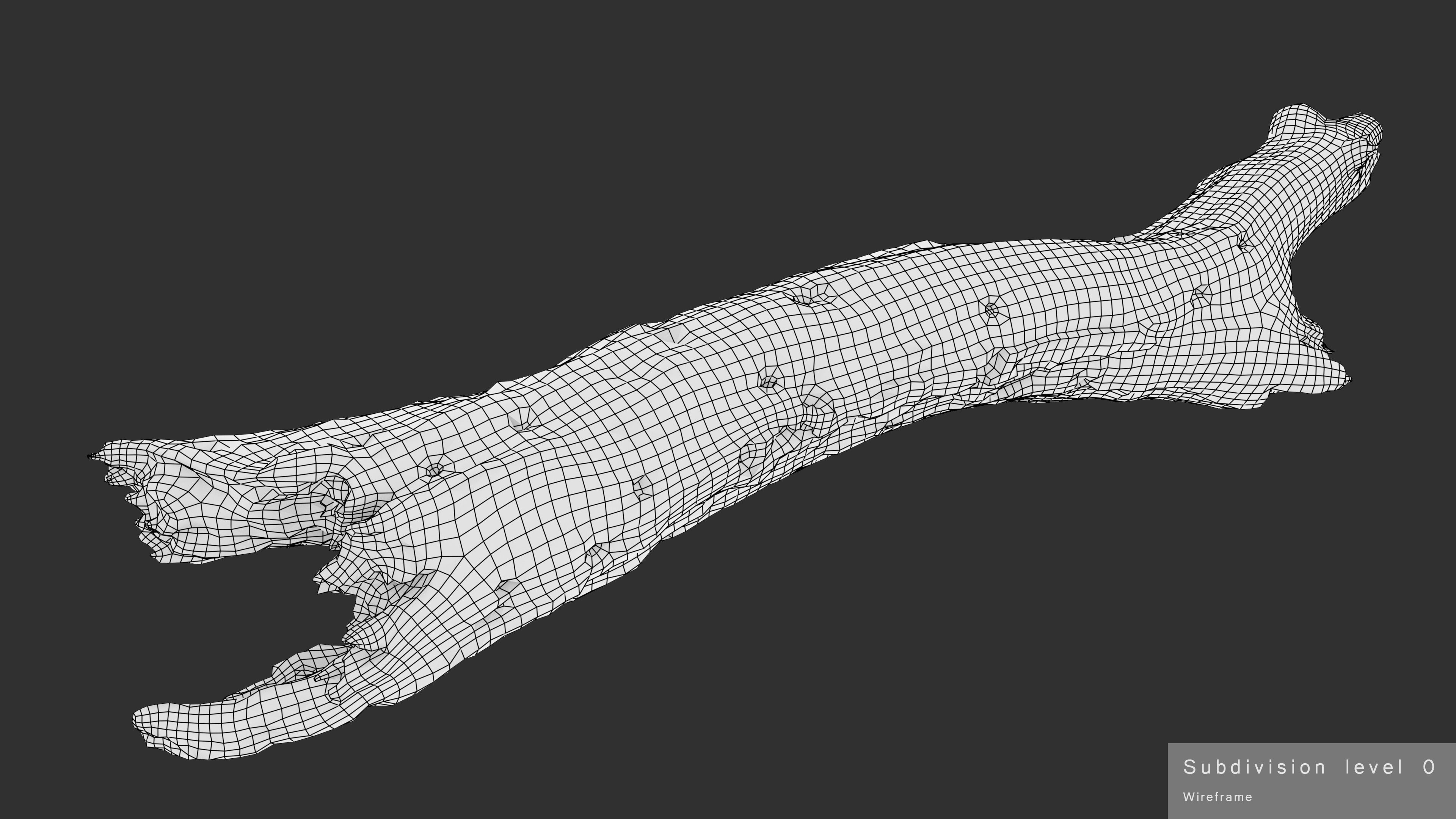 Withered Tree Hide Low-poly 3D model_41