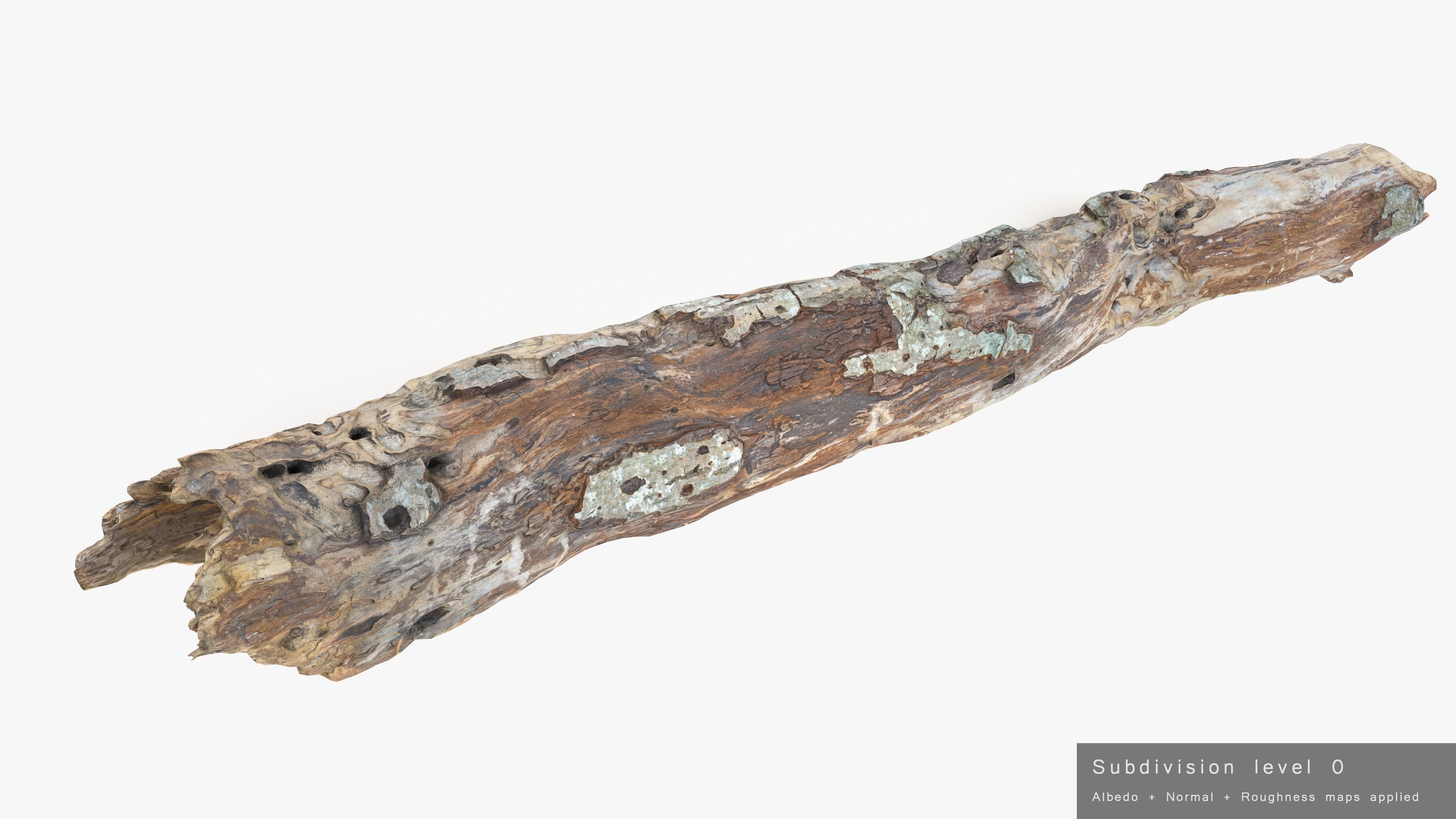 Withered Tree Hide Low-poly 3D model_37