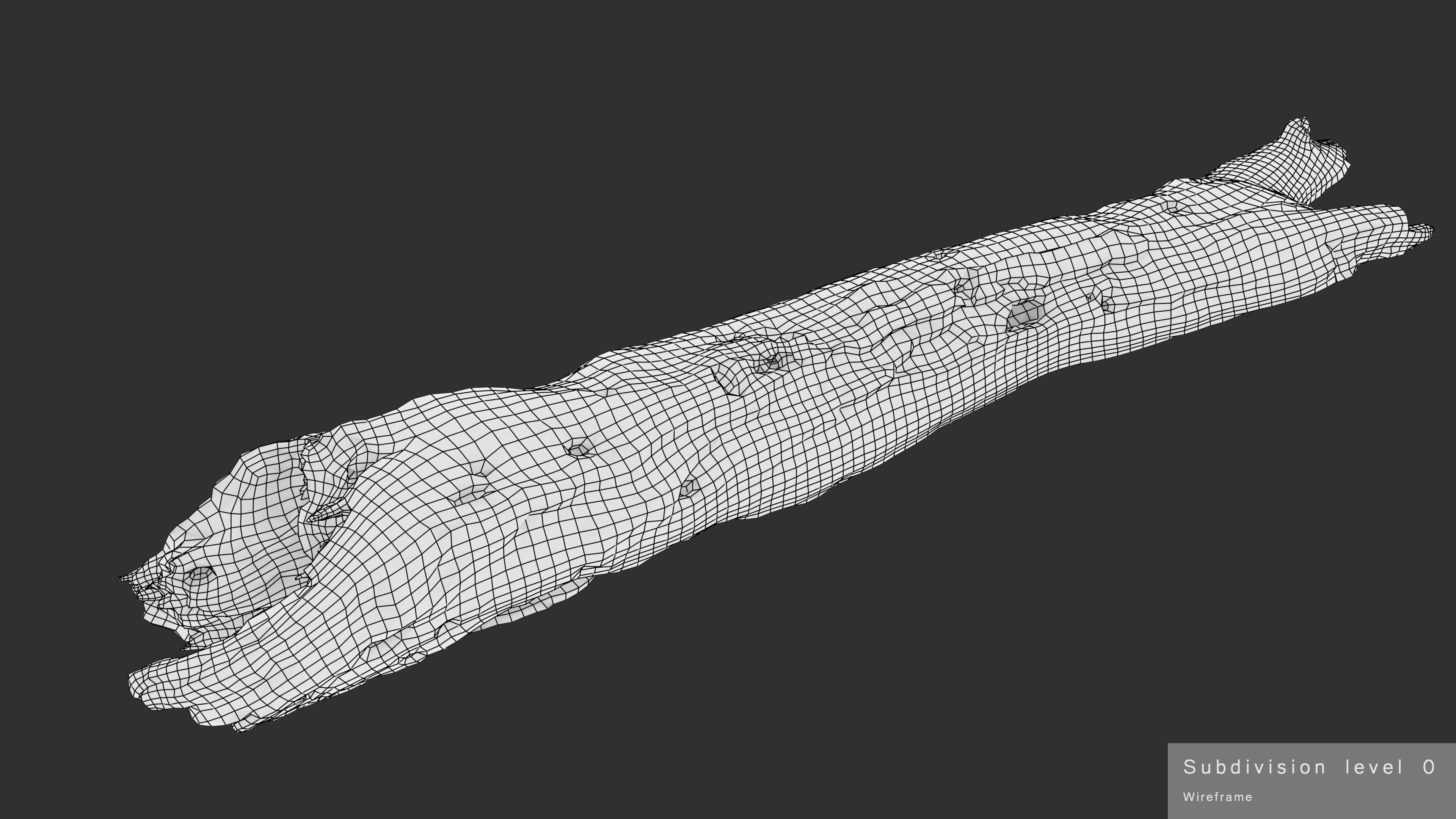 Withered Tree Hide Low-poly 3D model_40