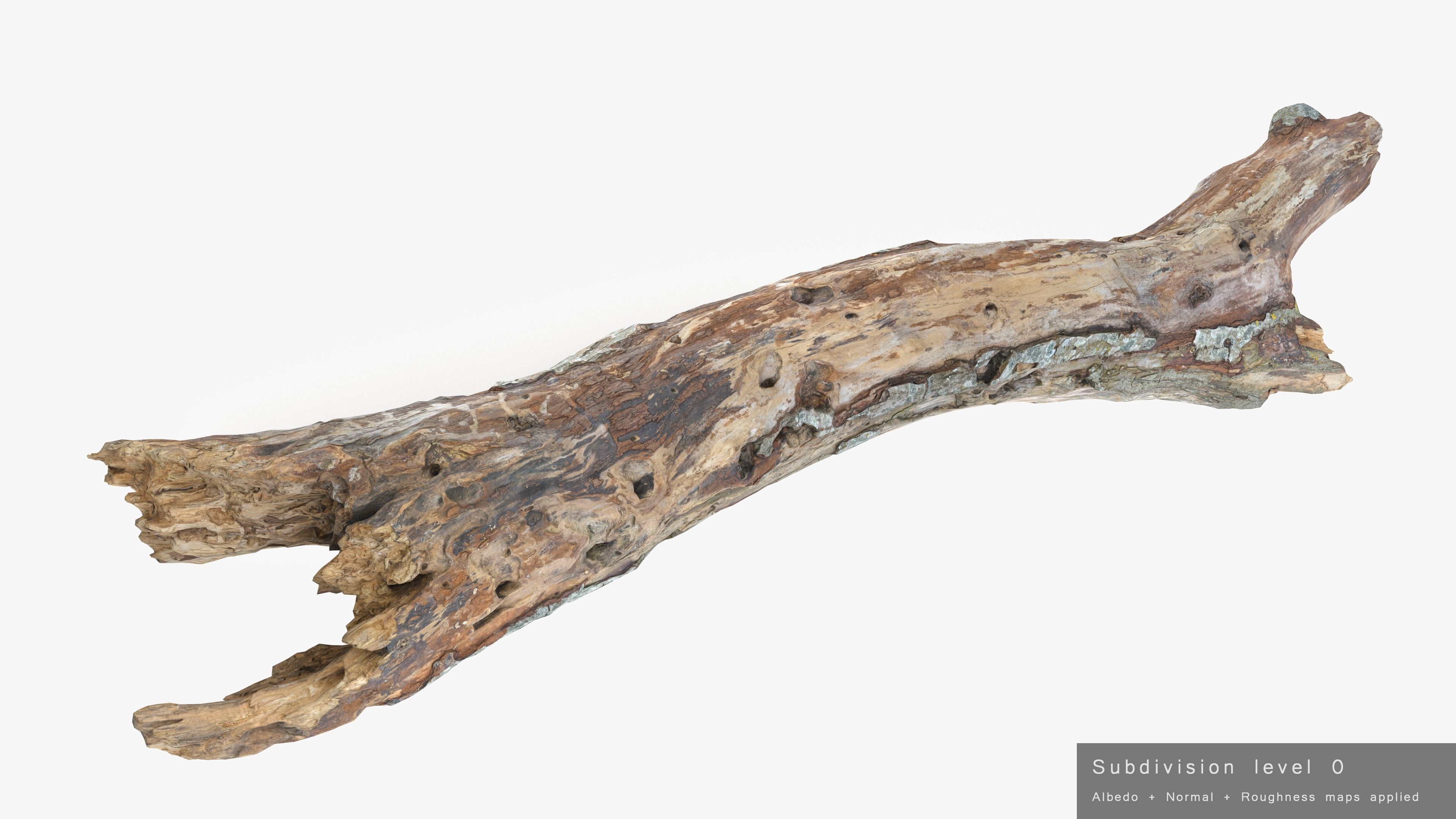 Withered Tree Hide Low-poly 3D model_35