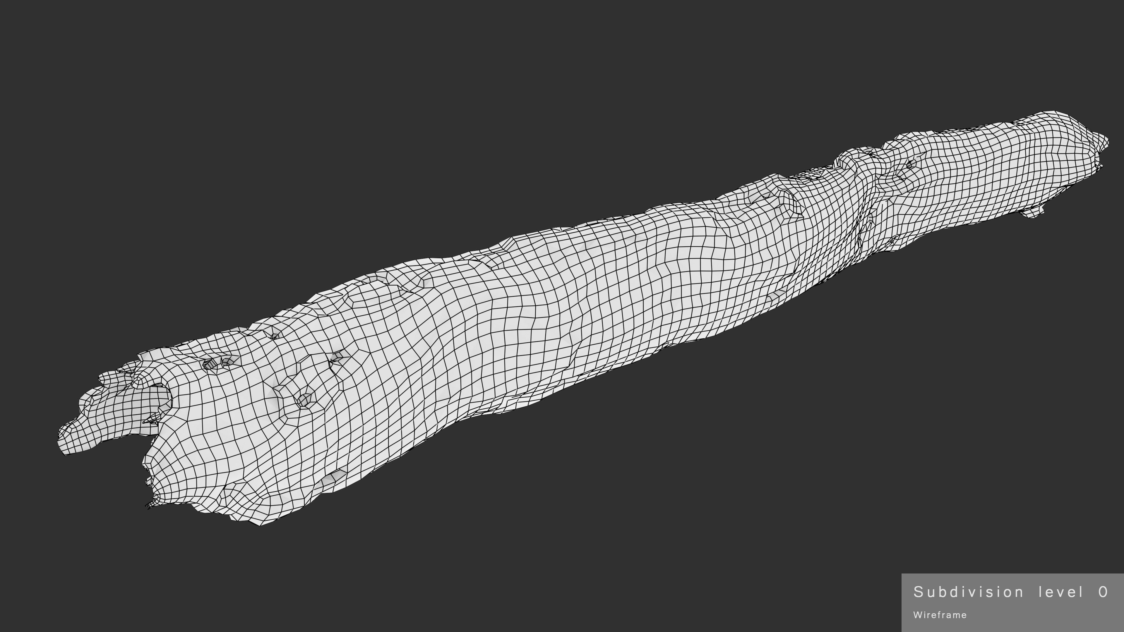 Withered Tree Hide Low-poly 3D model_43