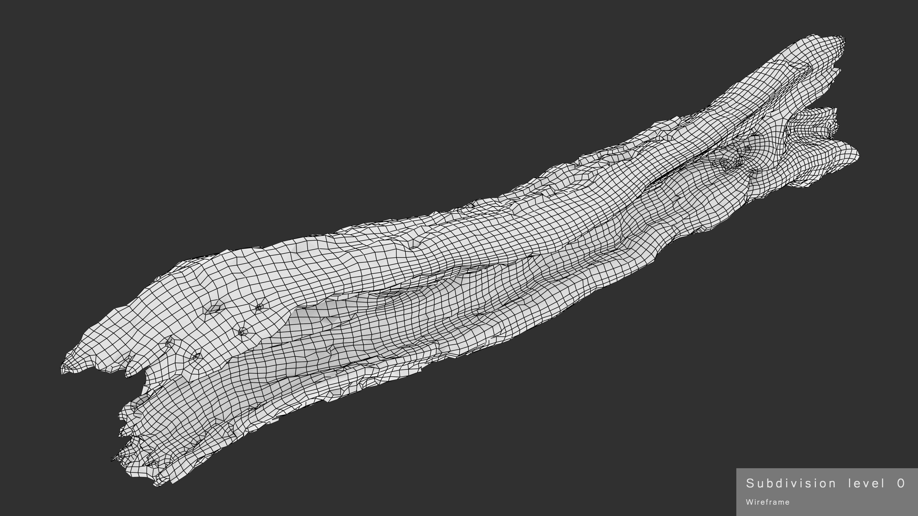 Withered Tree Hide Low-poly 3D model_39