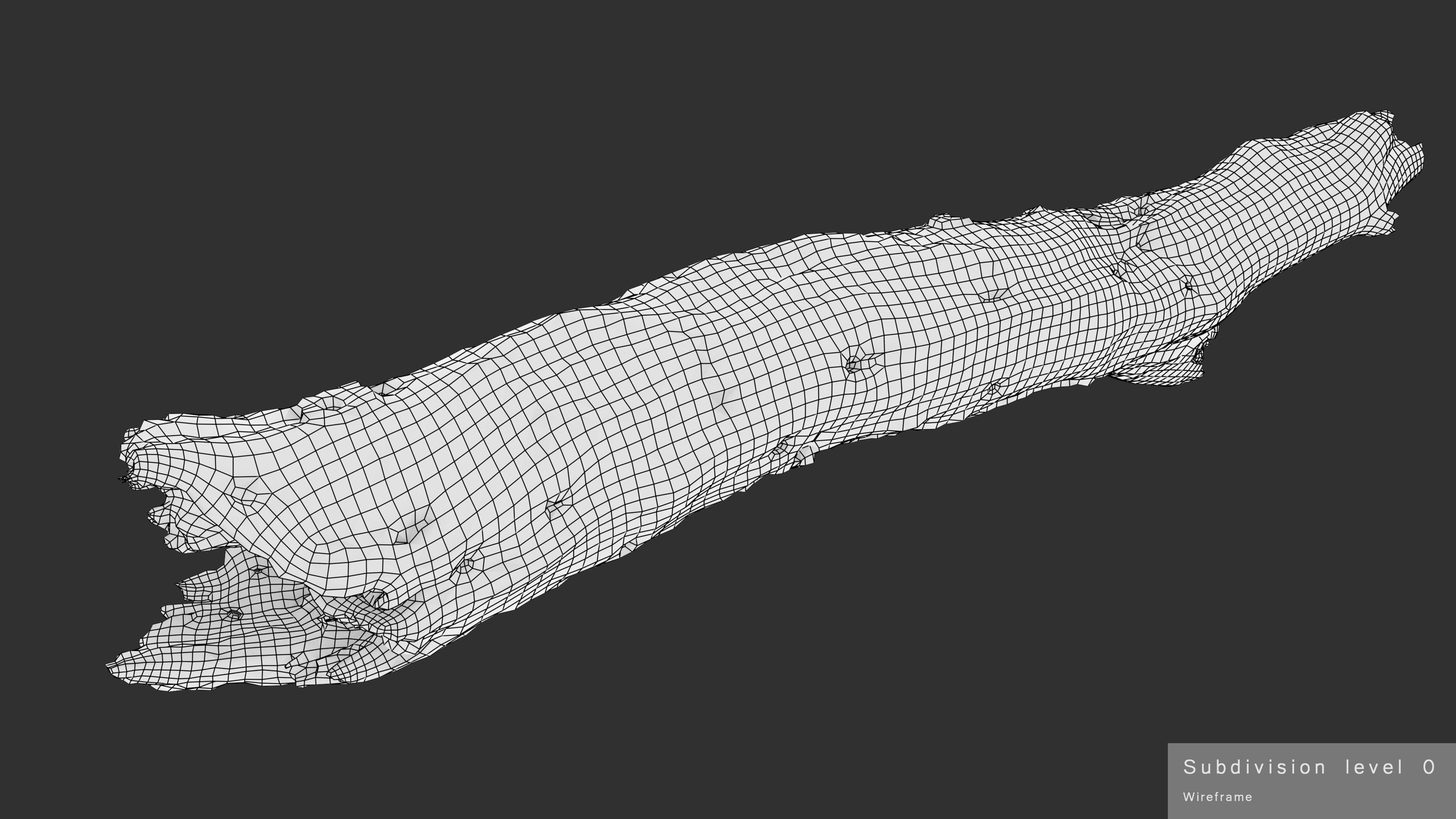 Withered Tree Hide Low-poly 3D model_42