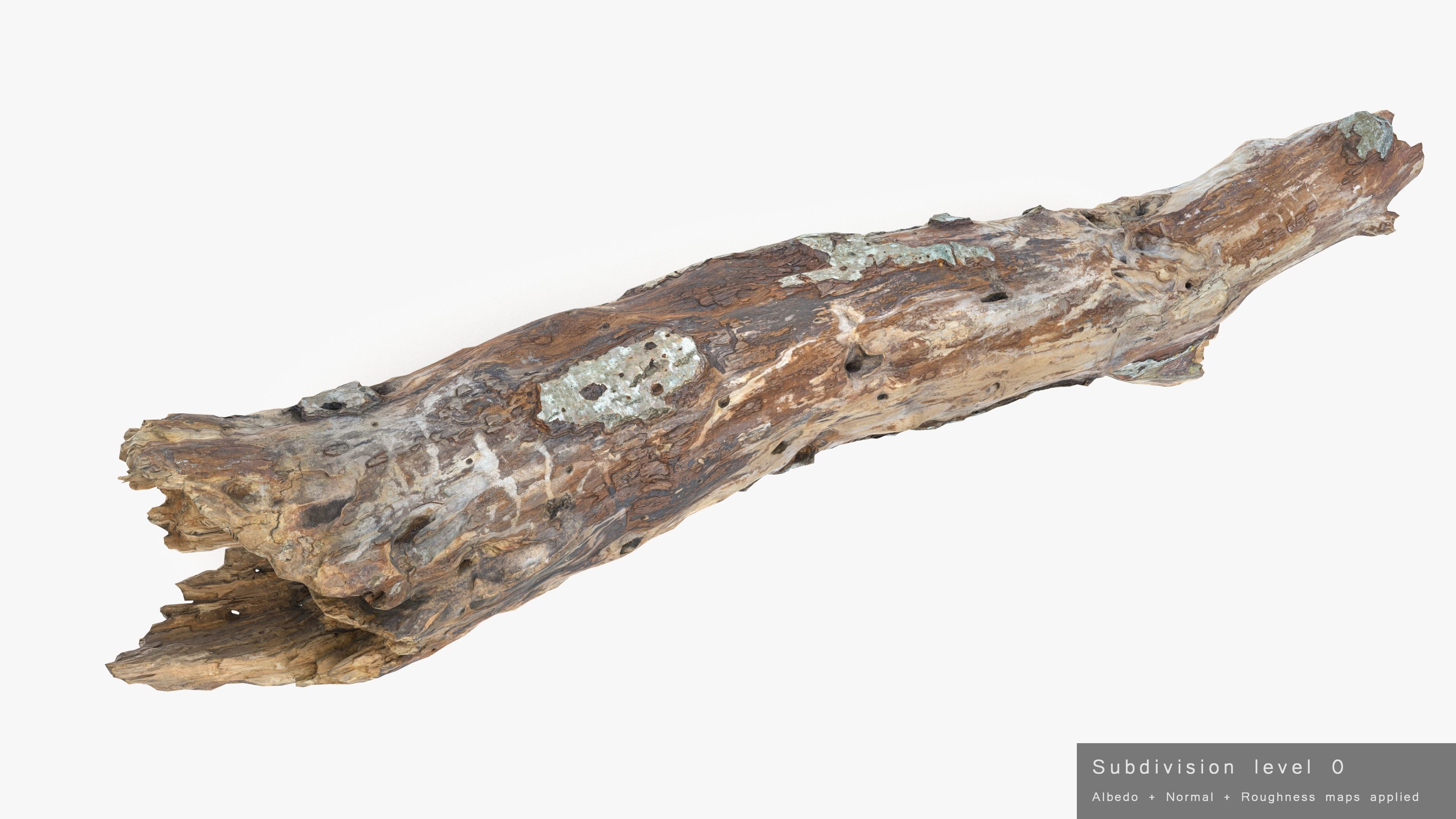 Withered Tree Hide Low-poly 3D model_36