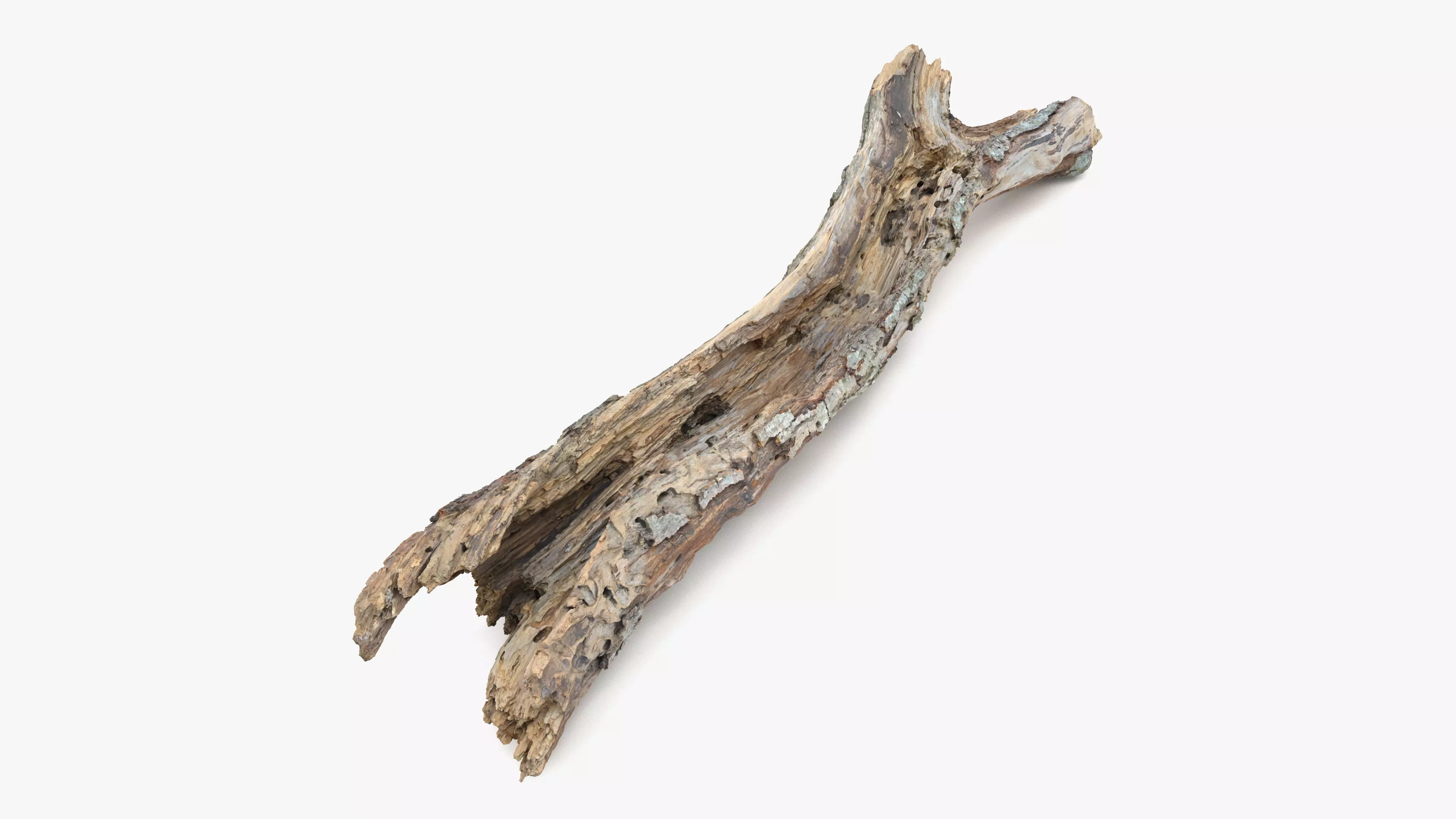 Withered Tree Hide Low-poly 3D model_0