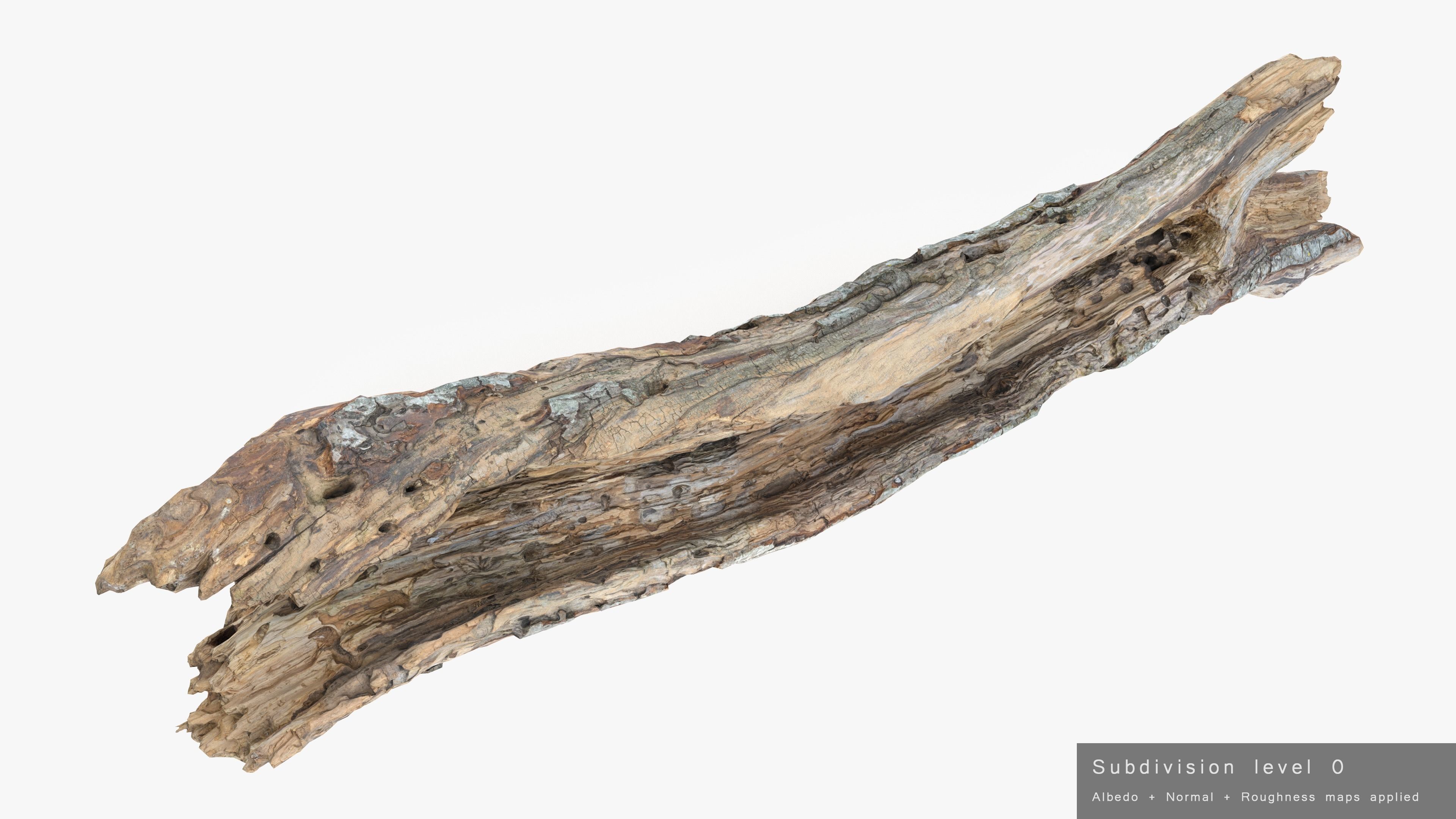 Withered Tree Hide Low-poly 3D model_33