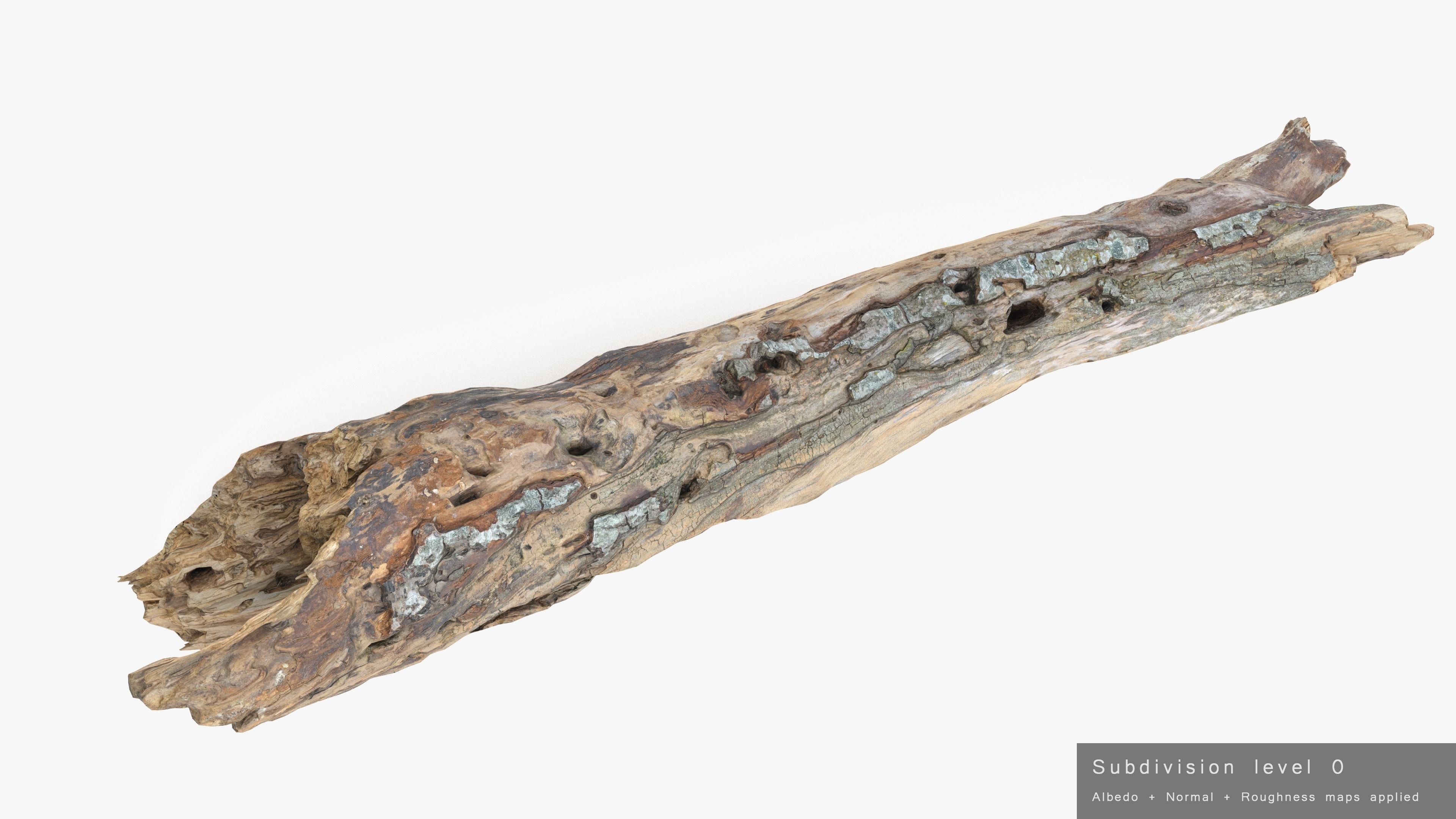 Withered Tree Hide Low-poly 3D model_34