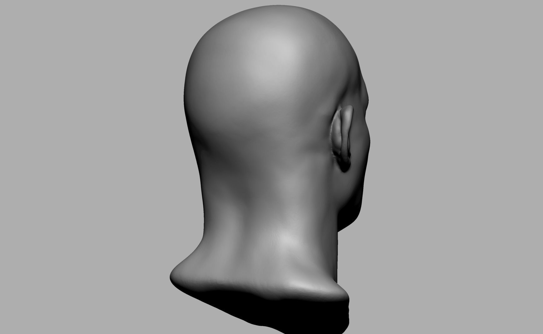 Base Male Head v2 3D print model_3