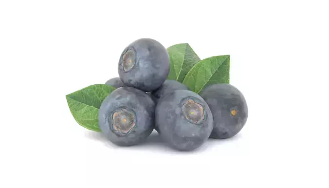 Blueberry Fruit 3D model Photoscan Low-poly 3D model