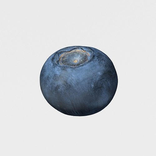 Blueberry Fruit 3D model Photoscan Low-poly 3D model 2
