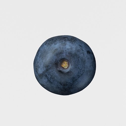 Blueberry Fruit 3D model Photoscan Low-poly 3D model 7