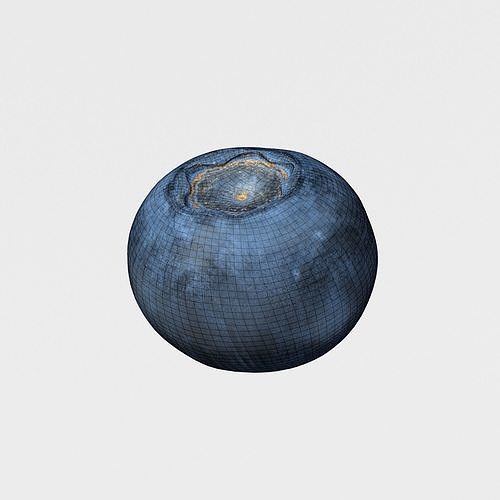Blueberry Fruit 3D model Photoscan Low-poly 3D model 3