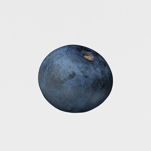Blueberry Fruit 3D model Photoscan Low-poly 3D model 6